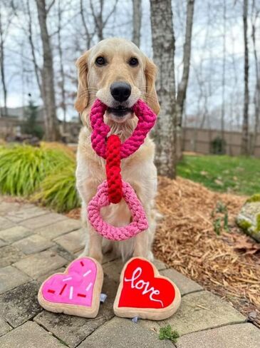 Midlee Interlocking Heart Rope Valentine Dog Toy - 6" in Saudi Arabia