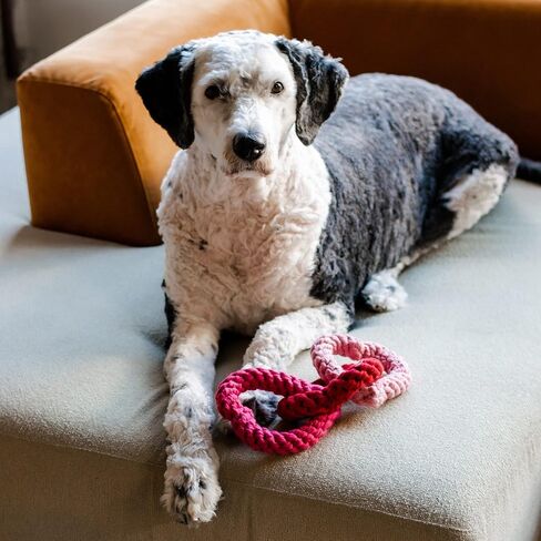 Midlee Interlocking Heart Rope Valentine Dog Toy - 6" in Saudi Arabia