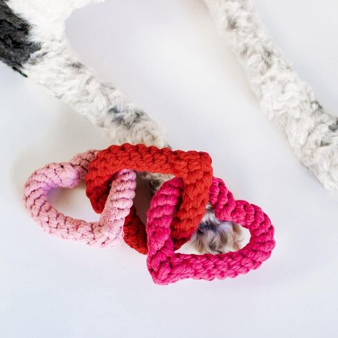 Midlee Interlocking Heart Rope Valentine Dog Toy - 6" in Saudi Arabia