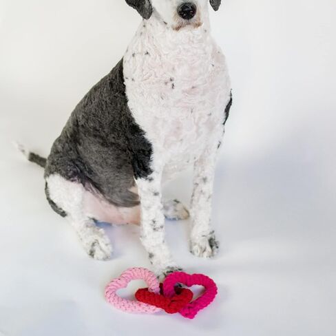 Midlee Interlocking Heart Rope Valentine Dog Toy - 6" in Saudi Arabia