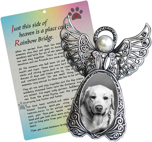 هدية تذكارية للحيوانات الاليفة بتصميم اجنحة الملاك - اطار صورة تذكاري لفقدان الحيوانات الاليفة في ذكرى كلبك الحبيب مع بطاقة جسر قوس قزح هدية تعاطف مع الكلب in Kuwait