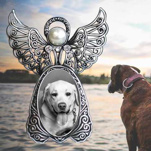 هدية تذكارية للحيوانات الاليفة بتصميم اجنحة الملاك - اطار صورة تذكاري لفقدان الحيوانات الاليفة في ذكرى كلبك الحبيب مع بطاقة جسر قوس قزح هدية تعاطف مع الكلب in Kuwait