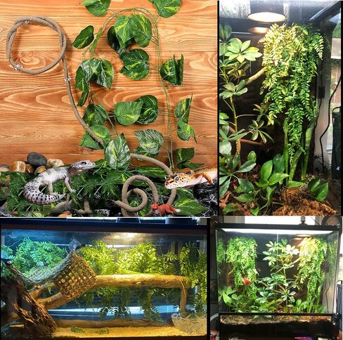 Woyrise Bearded Dragon Tank Accessories for Habitat Reptile Hammock Lizard Lounger Hanging Plants Jungle Climber Vines Flexible Leaves Decor with Suction Cups for Gecko Chameleon Hermit Crab Snake in Kuwait