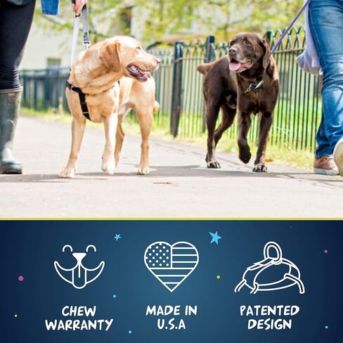 2 كلاب الصيد تصميم الحرية لا سحب الكلب تسخير | تحكم لطيف ومريح قابل للتعديل لسهولة تمشية الكلاب | للكلاب الصغيرة والمتوسطة والكبيرة | صنع فى أمريكا in Kuwait