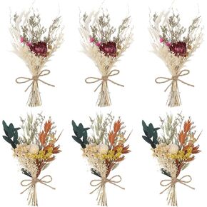 Auidy_6TXD باقة زهور مجففة صغيرة مجموعة من 6 زهور مجففة بوهو باقة وصيفة العروس زهور جافة قطع مركزية للطاولة صندوق هدايا لوصيفة العروس زهرة فتاة لحفل زفاف بوهو، ديكور زجاجة طاولة كعكة عيد الميلاد in Kuwait