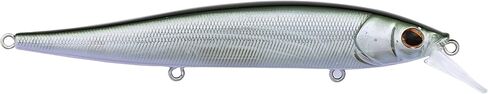 Berkley Stunna Fishing Hard Bait in Saudi Arabia