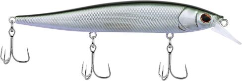 Berkley Stunna Fishing Hard Bait in Saudi Arabia