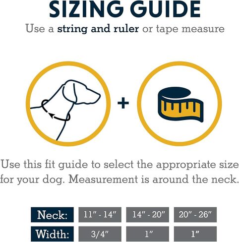 Ruffwear, Flat Out Dog Collar (Formerly Hoopie), Webbing Collar for Walking and Everyday Use, Rocky Mountains, 11"-14" in Saudi Arabia