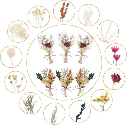 Auidy_6TXD باقة زهور مجففة صغيرة مجموعة من 6 زهور مجففة بوهو باقة وصيفة العروس زهور جافة قطع مركزية للطاولة صندوق هدايا لوصيفة العروس زهرة فتاة لحفل زفاف بوهو، ديكور زجاجة طاولة كعكة عيد الميلاد in Kuwait