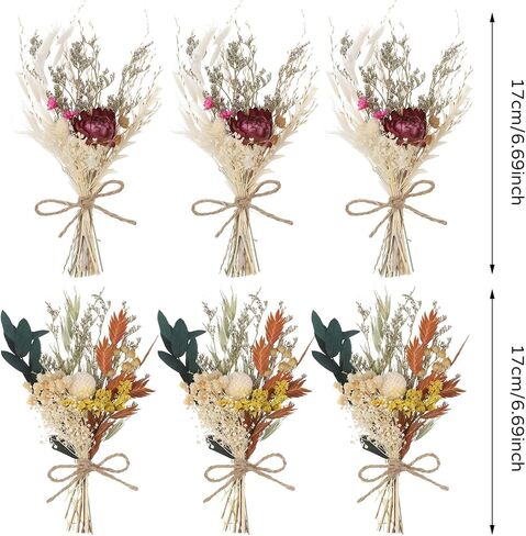 Auidy_6TXD باقة زهور مجففة صغيرة مجموعة من 6 زهور مجففة بوهو باقة وصيفة العروس زهور جافة قطع مركزية للطاولة صندوق هدايا لوصيفة العروس زهرة فتاة لحفل زفاف بوهو، ديكور زجاجة طاولة كعكة عيد الميلاد in Kuwait