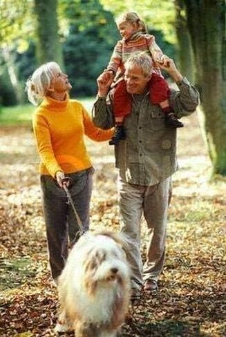 معتمد من الأطباء البيطريين لتغذية الحيوانات الأليفة الفائقة - للكلاب والقطط - اللبأ البقري الشحمي، الغني بالجلوبيولين المناعي (25%+)، دعم الجهاز المناعي والهضمي، والحساسية (6 أونصات) in Kuwait