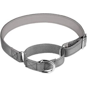 Adjustable Martingale Safety Training Dog Collars, Soft Neoprene Padded Breathable Nylon Pet Collar for Large Medium Small Dogs (S, Black) in Kuwait