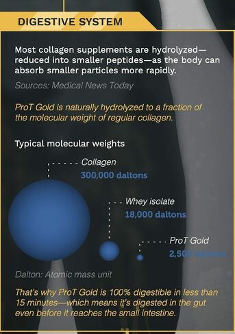 ProT GOLD Berry Sugar Free Liquid Protein Shot - 16oz Anti Aging. Proven to Boost Immunity. Formula Trusted by 4,000+ Medical Facilities for Complete Protein Nutrition and Proven 2X Faster Healing in Saudi Arabia