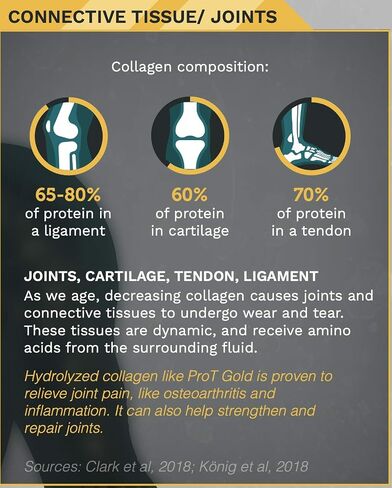 ProT GOLD Berry Sugar Free Liquid Protein Shot - 16oz Anti Aging. Proven to Boost Immunity. Formula Trusted by 4,000+ Medical Facilities for Complete Protein Nutrition and Proven 2X Faster Healing in Saudi Arabia