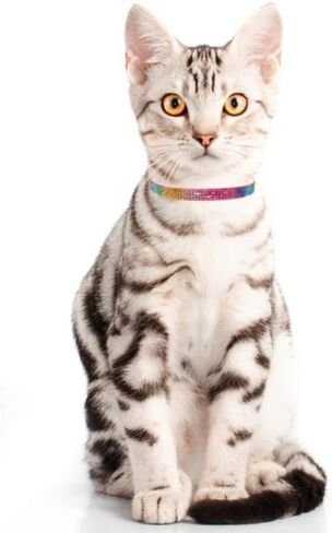 THAIN Bling cat Kitten Collar Rainbow Rhinestone Breakaway Diamond with Bell Soft Velvet Quick Release (Pink) in Kuwait