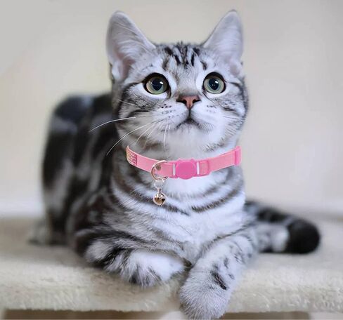 THAIN Bling cat Kitten Collar Rainbow Rhinestone Breakaway Diamond with Bell Soft Velvet Quick Release (Pink) in Kuwait