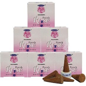 Nag Champa Incense Cones And Cone Incense Burner Bundle Insence Insense Satya Incense in Kuwait