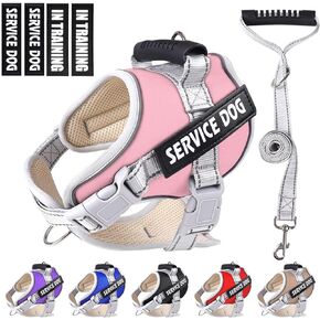 Service Dog Vest,No Pull in Training Service Dog Harness and 5FT Dog Leash Set, Adjustable 3M Reflective Nylon Pet Dog Vest with Handle,Easy Control for Small Medium Large Dogs(XS,Pink)