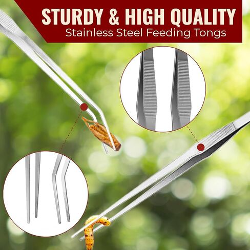 CoCoo Feeding Tongs for Reptiles, Stainless Steel Tweezers, 1 Straight Tip Nipper & 1 Curved Serrated Forcep, Feeds Mealworms, Crickets to Snakes, Geckos, Lizards, Tarantulas, 2pc in Kuwait