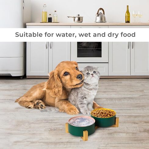 أوعية الكلاب المرتفعة من SunDog - وعاء عملي مرتفع للكلاب للطعام والماء - أوعية سيراميك لطيفة ومتينة للكلاب مع حامل خشبي - أوعية للكلاب والقطط الصغيرة سعة 13.5 أونصة (أزرق) in Kuwait