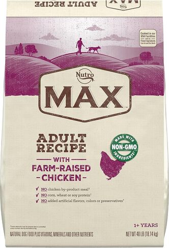 NUTRO MAX Puppy Recipe Dry Dog Food With Farm-Raised Chicken, 12 LB Bag in Saudi Arabia