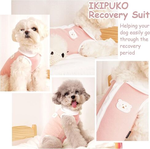Recovery Suit for Dogs Cats, Cute Cat Recovery Suit Breathable Dog Onesie for Surgery Female Male Cone of Shame Alternative Surgical Spay Suit for Small Dogs Cats Pet Body Suit After Surgery,M in Kuwait