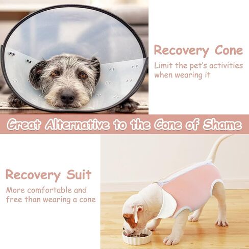 Recovery Suit for Dogs Cats, Cute Cat Recovery Suit Breathable Dog Onesie for Surgery Female Male Cone of Shame Alternative Surgical Spay Suit for Small Dogs Cats Pet Body Suit After Surgery,M in Kuwait