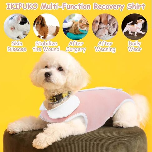 Recovery Suit for Dogs Cats, Cute Cat Recovery Suit Breathable Dog Onesie for Surgery Female Male Cone of Shame Alternative Surgical Spay Suit for Small Dogs Cats Pet Body Suit After Surgery,M in Kuwait