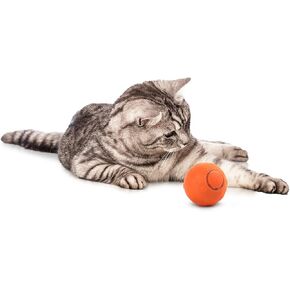 ALL FOR PAWS Thrill Jumping Ball in Kuwait