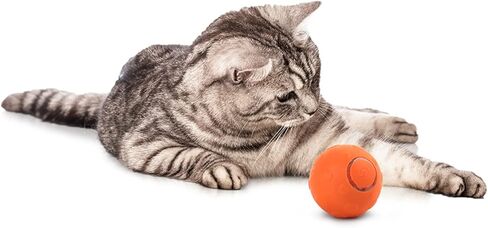 ALL FOR PAWS Thrill Jumping Ball in Kuwait