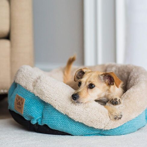 Petmate Cozy Dog Bed, 21"L x 21"W x 6"Th, Blend Material, Machine Washable in Kuwait