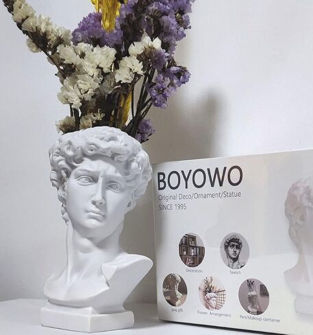 تمثال BOYOWO David تمثال نصفي للزفاف اليوناني، مزهرية للوجه، رأس آرت ديكو، ديكور لطيف للغرفة، جمالي عتيق، ديكور أكاديمي داكن، هدايا الأساطير اليونانية، ديكور غرفة Coquette لطيف، ديكور منزلي روماني، غرفة المعيشة 6.5 بوصة in Saudi Arabia