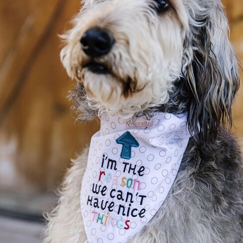 قرص مضغوط بتصميمات التطريز الآلي لمنديل الحيوانات الأليفة المرح من Kimberbell، يتضمن: 8 تصميمات مختلفة - يأتي كل منها في 4 أحجام، للحيوانات الكبيرة إلى الصغيرة جدًا، مقاسات الطوق: 4x4 بوصة و5x7 بوصة، أنماط للحيوانات الأليفة in Kuwait