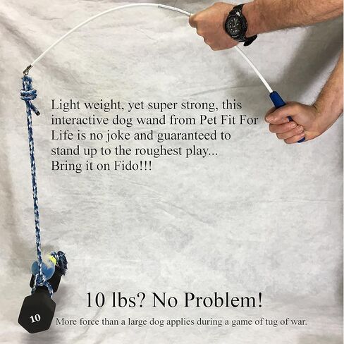 Pet Fit For Life Wand Toy for Dogs - Extra Long 31" Pole with Plush Alligator Squeaky Toy, Soft Foam Handle for Tug of War and Interactive Fun & Exercise in Kuwait