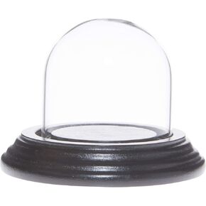 Plymor 2" x 2" Mini Glass Display Dome Cloche (Black Wood Veneer Base) in Kuwait