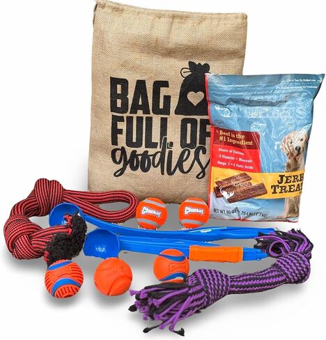 STUFF YOUR SACK Dog Gift Basket with Toys, Treats and Gift Bag for All Breed Sizes in Kuwait