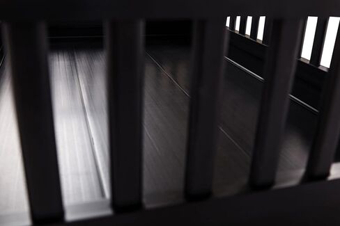 نيو ايج بيت اثاث سرير نهاري مرتفع للكلاب والقطط والحيوانات الاليفة من ايكوفليكس باديز - مقاس L، لون اسبريسو in Kuwait