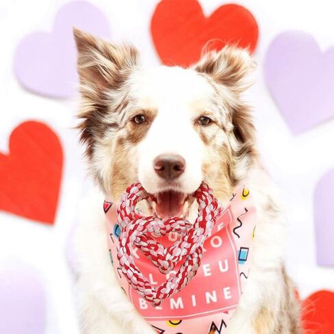 Valentines Dog Toy, Interlocking Heart Dog Rope Toy, Small Medium Dog Toy in Kuwait