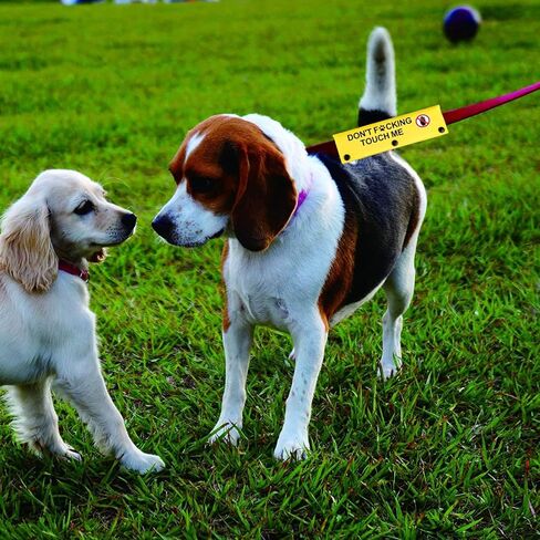 Funny Dog Leash Sleeve Have Don't Touch Me Dog Leash Wrap Wrap Alert Hanging ID Patch Tag Pet Birthday Gift(Don't Touch Me-Sleeve) in Kuwait