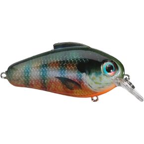 بيل لويس نابض بالحياة صدى 1.75 Squarebill Crankbait الصيد تمايل إغراء للمياه العذبة الضحلة المياه المالحة in Kuwait