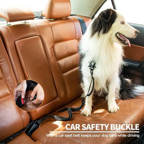 مقود الكلب التكتيكي بنجي الضفدع كليب قابل للتعديل مقود الكلب الثقيلة مع حزام مقعد السيارة مقبض مبطن وخيوط عاكسة للكلاب المتوسطة والكبيرة 4 5 6 قدم أسود TXZWJZ in Kuwait