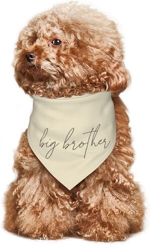 تم ترقية vercosee إلى Big Brother Dog Bandana Gender Reveal Dog Bandana Reversible، قريبًا سيصبح الأخ الأكبر، كلب إعلان الطفل (أبيض) in Saudi Arabia