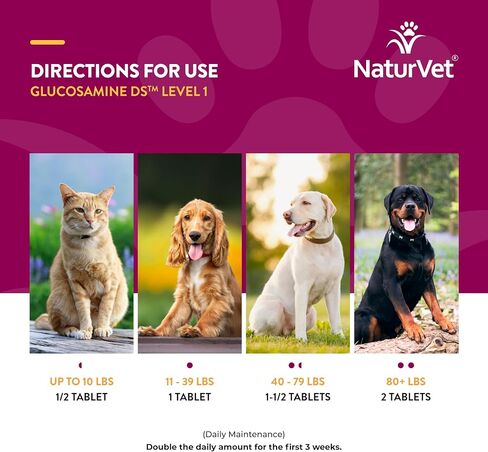 NaturVet Glucosamine DS Plus Level 2 Moderate, Joint Care Support Supplement for Dogs and Cats, Soft Chews, Made in The USA, 120 Count in Kuwait