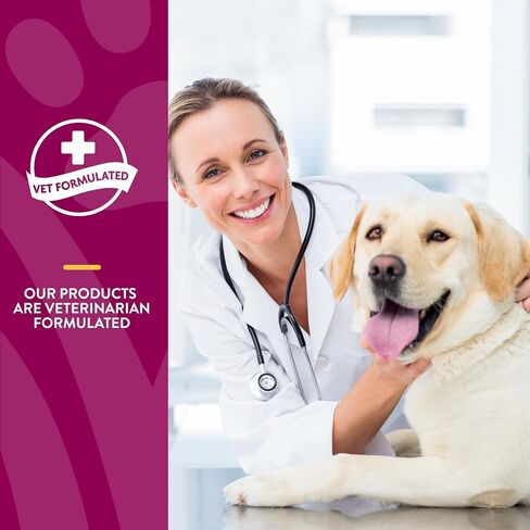 NaturVet Glucosamine DS Plus Level 2 Moderate, Joint Care Support Supplement for Dogs and Cats, Soft Chews, Made in The USA, 120 Count in Kuwait