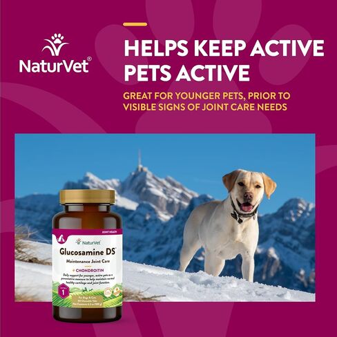NaturVet Glucosamine DS Plus Level 2 Moderate, Joint Care Support Supplement for Dogs and Cats, Soft Chews, Made in The USA, 120 Count in Kuwait