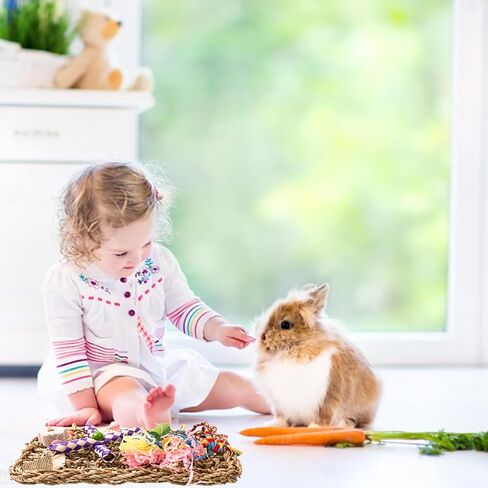 Grddaef Rabbit Toys, Bunny Cage Hanging Chew Toys and Treats for Guinea Pigs Chinchillas Hamsters Rats Other Small Pets Teeth Grinding in Kuwait