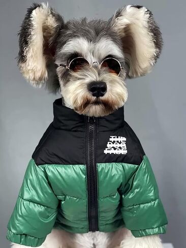 Dog Winter Coat Duck Down Jacket for Small Medium Dogs-Thicken Dog Coat Windbreaker Puppy Winter Clothes for Cold Weather Snowday (Green, Medium) in Saudi Arabia