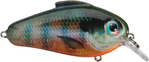 بيل لويس نابض بالحياة صدى 1.75 Squarebill Crankbait الصيد تمايل إغراء للمياه العذبة الضحلة المياه المالحة in Kuwait