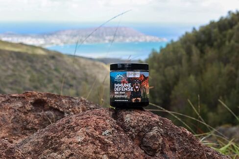 مكمل مناعة الكلاب من نورثرن كاسكيدز يدعم فطر سوبرفوود لتقوية جهاز المناعة K9 وزيادة الحيوية in Kuwait