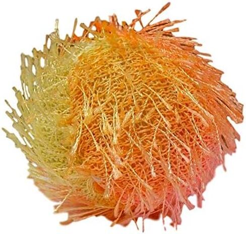 طعام القطط من Wellness CORE Tiny Tasters الخالي من الحبوب، 4 نكهات، 8 أكياس بالإضافة إلى 2 حزمة عينات من الألعاب، (2) لكل منها: لحم البقر الدجاج، سمك السلمون التونة، الدجاج الرومي، البط (1.75 أونصة) in Kuwait